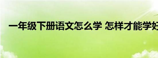 一年级下册语文怎么学 怎样才能学好语文