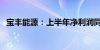 宝丰能源：上半年净利润同比增长46.41%