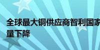 全球最大铜供应商智利国家铜业公司上半年产量下降