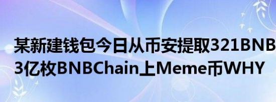 某新建钱包今日从币安提取321BNB买入6283亿枚BNBChain上Meme币WHY