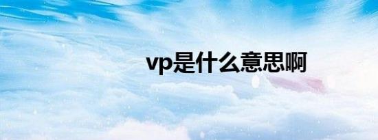 vp是什么意思啊