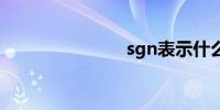 sgn表示什么