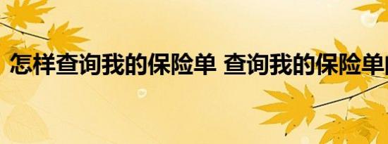 怎样查询我的保险单 查询我的保险单的方法