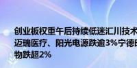 创业板权重午后持续低迷汇川技术跌近6%亿纬锂能跌超4%迈瑞医疗、阳光电源跌逾3%宁德时代、温氏股份、智飞生物跌超2%