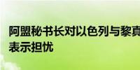 阿盟秘书长对以色列与黎真主党冲突可能升级表示担忧