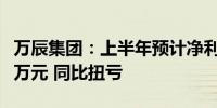 万辰集团：上半年预计净利润为80万元至120万元 同比扭亏