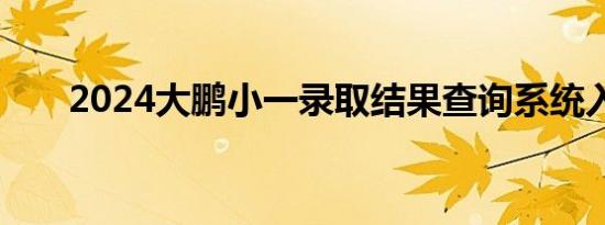 2024大鹏小一录取结果查询系统入口