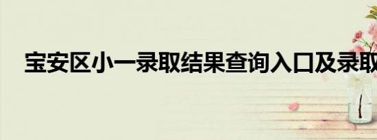 宝安区小一录取结果查询入口及录取办法