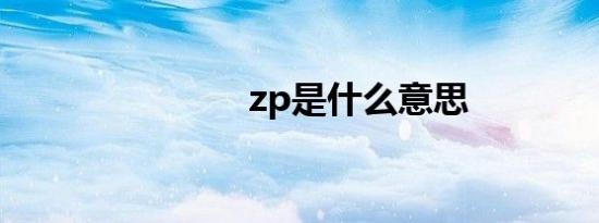 zp是什么意思