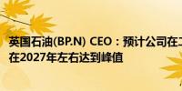 英国石油(BP.N) CEO：预计公司在二叠纪盆地的石油产量将在2027年左右达到峰值