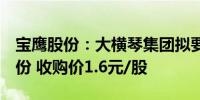 宝鹰股份：大横琴集团拟要约收购13.95%股份 收购价1.6元/股