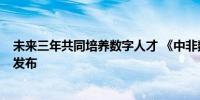 未来三年共同培养数字人才 《中非数字合作发展行动计划》发布