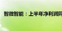 智微智能：上半年净利润同比增长36.03%