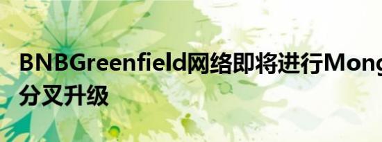 BNBGreenfield网络即将进行Mongolian硬分叉升级