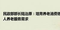 民政部部长陆治原：培育养老消费增长点 更好满足广大老年人养老服务需求