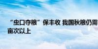 “虫口夺粮”保丰收 我国秋粮仍需实施预防控制面积20亿亩次以上