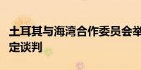 土耳其与海湾合作委员会举行首次自由贸易协定谈判