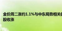 金价周二涨约1.1%与中东局势相关的避险需求带动金银矿业股收涨