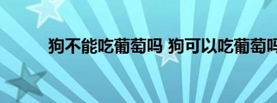 狗不能吃葡萄吗 狗可以吃葡萄吗