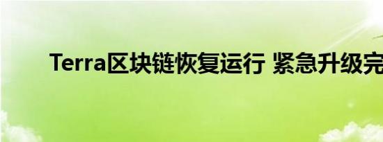 Terra区块链恢复运行 紧急升级完成