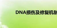 DNA损伤及修复机制谜团解开