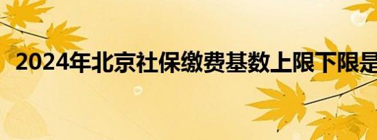 2024年北京社保缴费基数上限下限是多少?