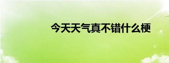 今天天气真不错什么梗