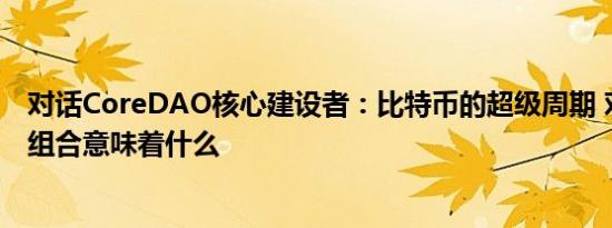 对话CoreDAO核心建设者：比特币的超级周期 对你的投资组合意味着什么