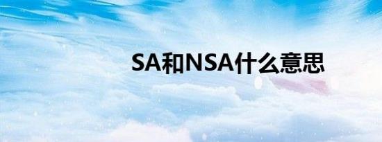 SA和NSA什么意思