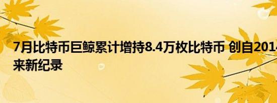 7月比特币巨鲸累计增持8.4万枚比特币 创自2014年10月以来新纪录