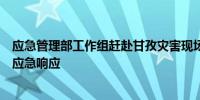 应急管理部工作组赶赴甘孜灾害现场启动国家地质灾害三级应急响应