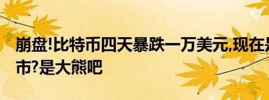 崩盘!比特币四天暴跌一万美元,现在是什么牛市?是大熊吧