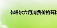 卡塔尔六月消费价格环比下降0.07%