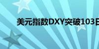 美元指数DXY突破103日内涨0.26%