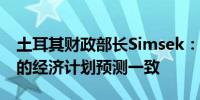 土耳其财政部长Simsek：通货膨胀率与我们的经济计划预测一致