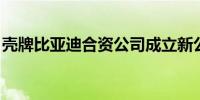 壳牌比亚迪合资公司成立新公司 注册资本1亿