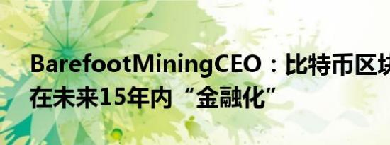 BarefootMiningCEO：比特币区块空间将在未来15年内“金融化”