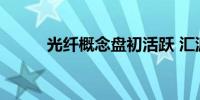 光纤概念盘初活跃 汇源通信涨停