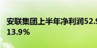 安联集团上半年净利润52.93亿欧元同比增长13.9%