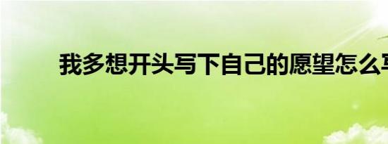 我多想开头写下自己的愿望怎么写