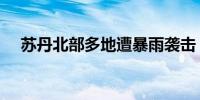 苏丹北部多地遭暴雨袭击 造成45人死亡