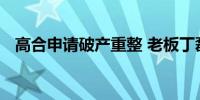 高合申请破产重整 老板丁磊已被多次限消