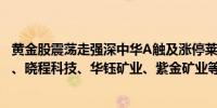 黄金股震荡走强深中华A触及涨停莱绅通灵涨超8%盛达资源、晓程科技、华钰矿业、紫金矿业等涨幅居前