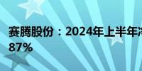 赛腾股份：2024年上半年净利润同比增长48.87%