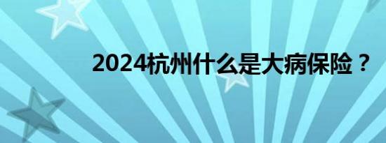 2024杭州什么是大病保险？