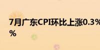 7月广东CPI环比上涨0.3% 核心CPI上涨0.4%