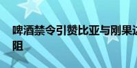 啤酒禁令引赞比亚与刚果边境争端 铜出口受阻