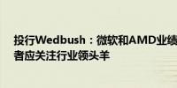 投行Wedbush：微软和AMD业绩平息AI货币化疑虑投资者应关注行业领头羊