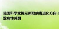 我国科学家揭示新冠病毒进化方向 未来新冠病毒适应性增强致病性减弱