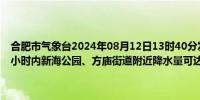 合肥市气象台2024年08月12日13时40分发布暴雨红色预警信号未来1小时内新海公园、方庙街道附近降水量可达100毫米并持续请注意防范